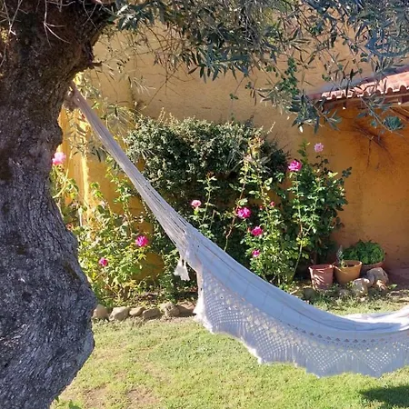 Casa Da Tilia بيت للعطل Caxarias