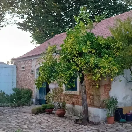 別荘 Casa Da Tilia Caxarias