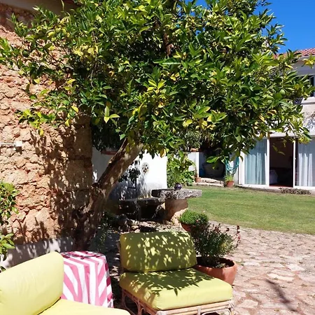 Casa Da Tilia Holiday home