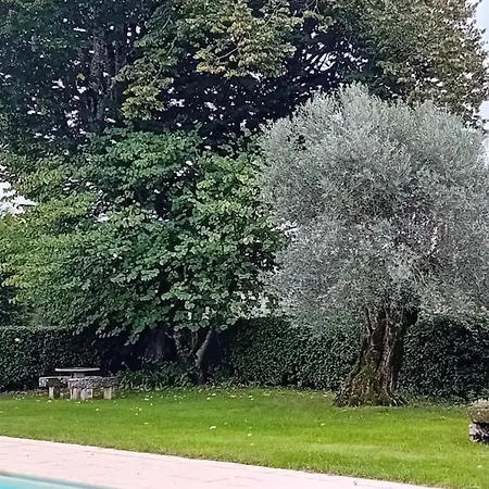 Casa Da Tilia Caxarias