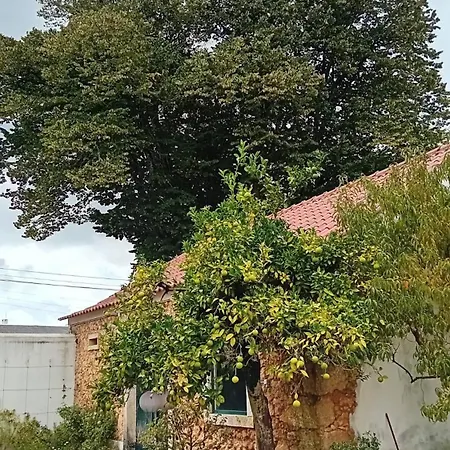 Casa Da Tilia Caxarias