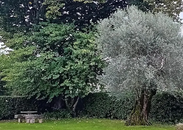 Casa Da Tilia Caxarias