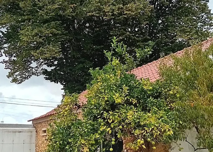 Casa Da Tilia Caxarias
